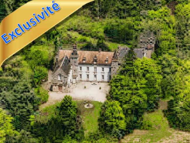 Château 1000 m² en parfait état