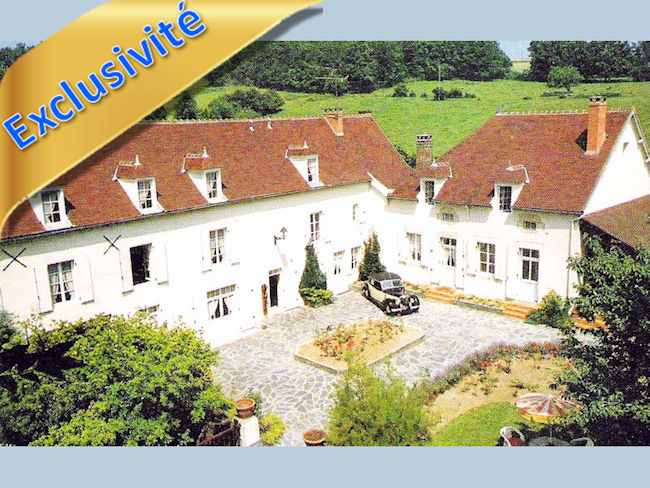 Vente à terme: moulin fondé en titre proche Saint-Pourçain-sur-Sioule (03), avec roue et piscine, sur 8 ha
