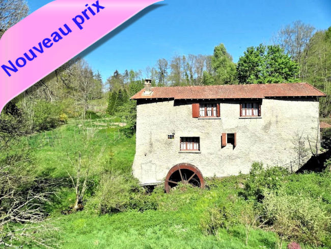 Moulin 5 pièces 150 m² proche Châteldon (63)