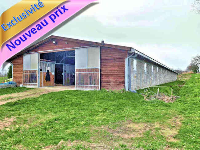 Propriété équestre 15 boxes, 10 ha, proche Montluçon (03): écuries, hangar, carrière, piste, rond de longe; proche chemins et forêts