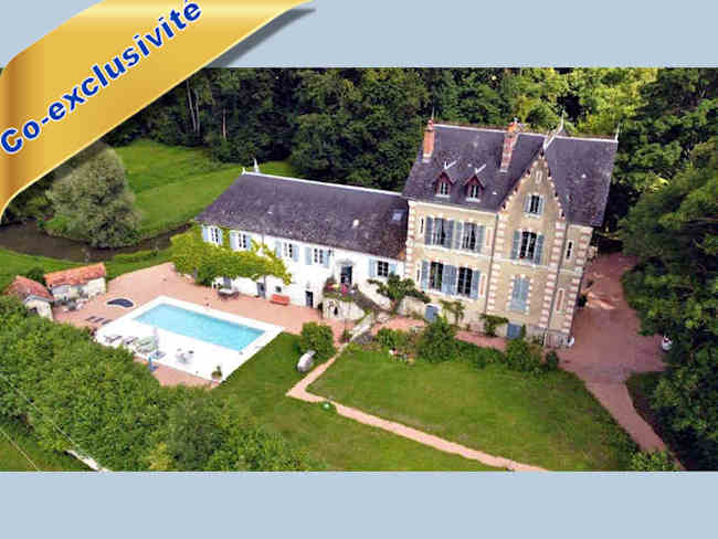 Château restauré en Val d’Allier à 20 min Vichy (03): 471 m², 15 pièces, piscine, greniers aménageables, caves voûtées habitables. Parc 3,6 ha
