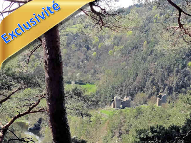 Château fort ruiné IMH entre Le Puy et Saint-Etienne (43, Haute-Loire) entouré de 12,5 ha de bois