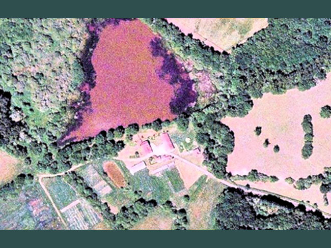 Moulin en Allier avec son étang et ses bois